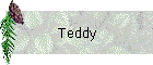 Teddy