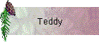 Teddy